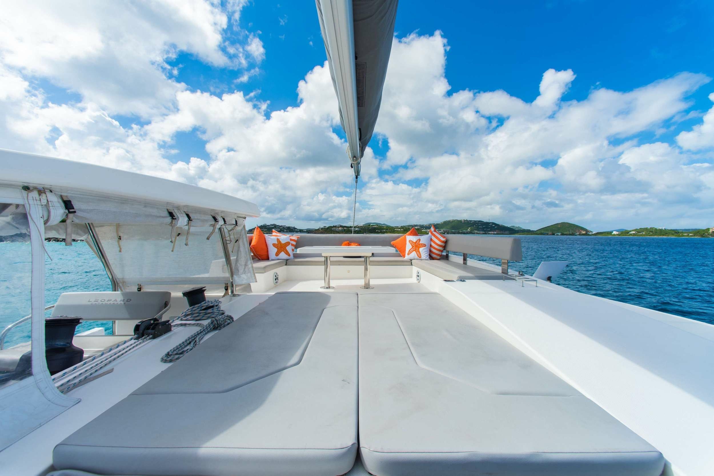 Leopard 50 | Soggy Doggy