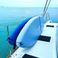 Lagoon 52 F | Sea Lion