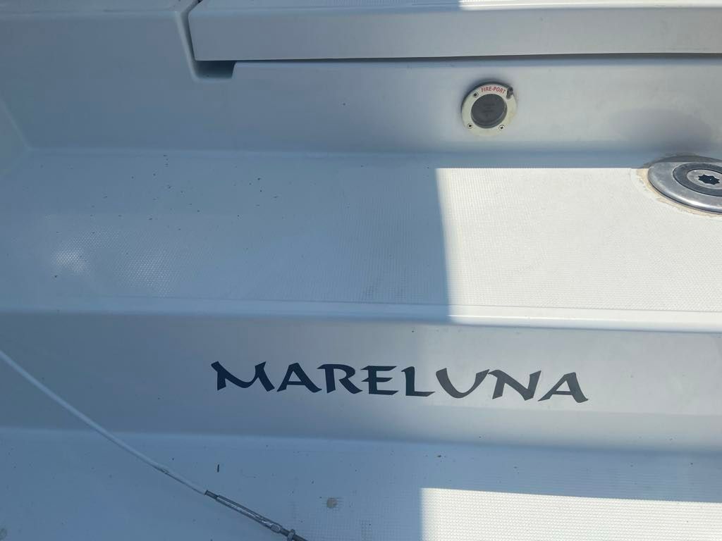 Bali Catsmart | Mareluna