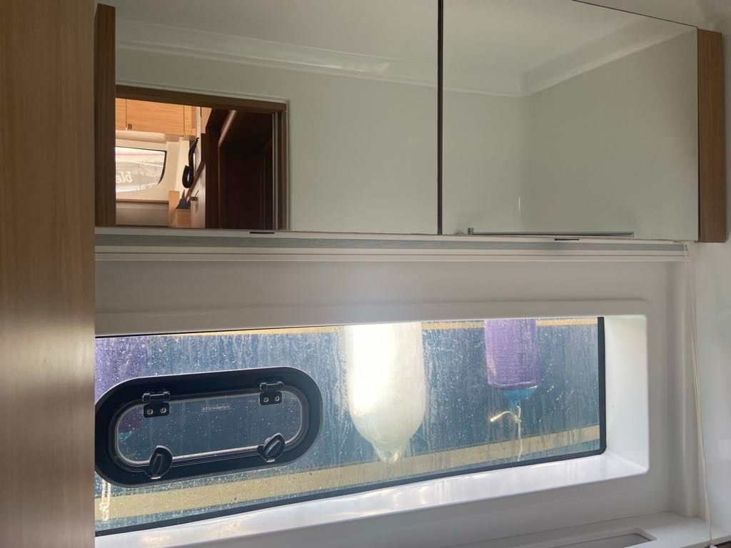 Bali Catsmart | Mareluna