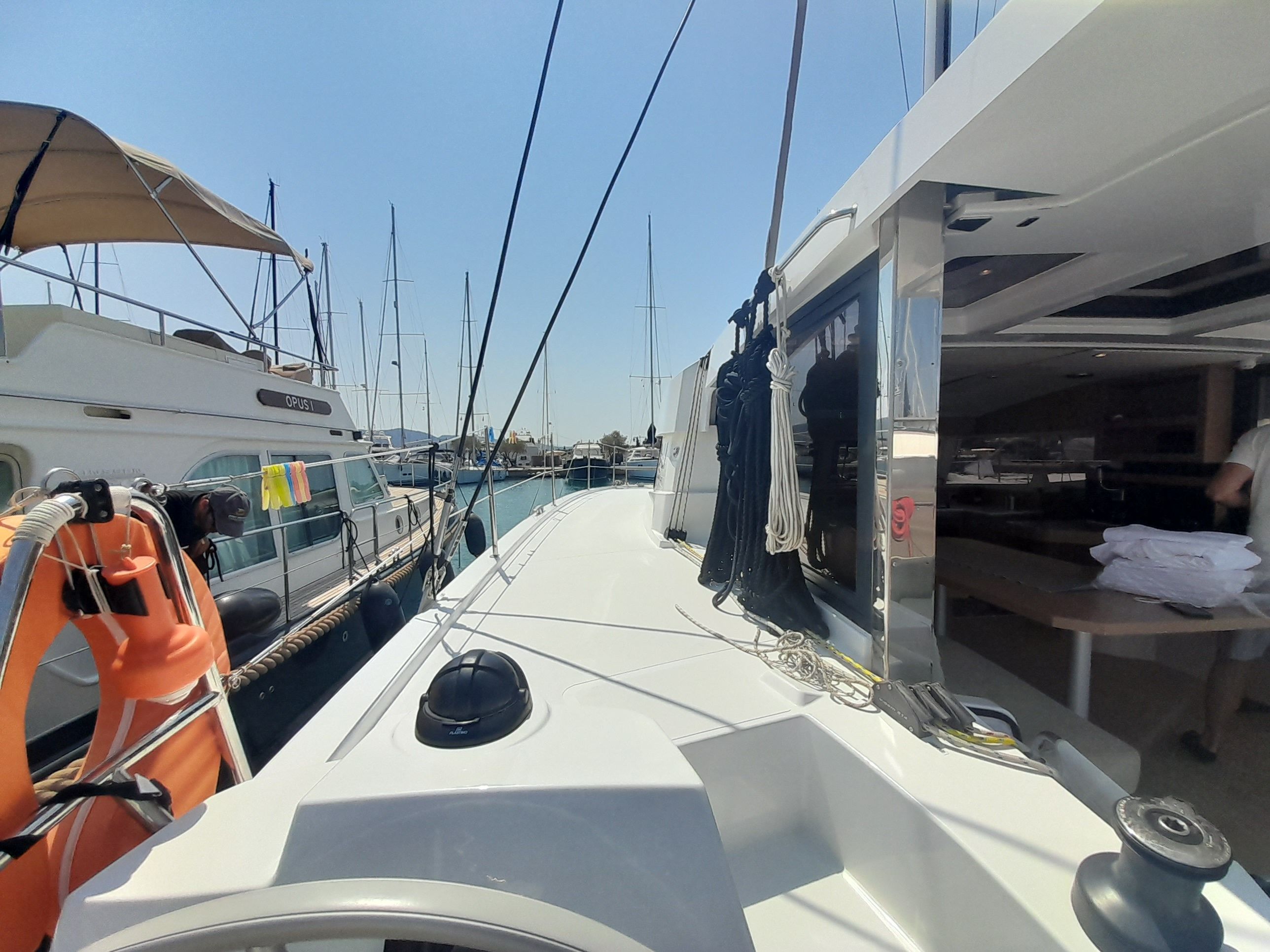 Bali Catsmart | Marestrella