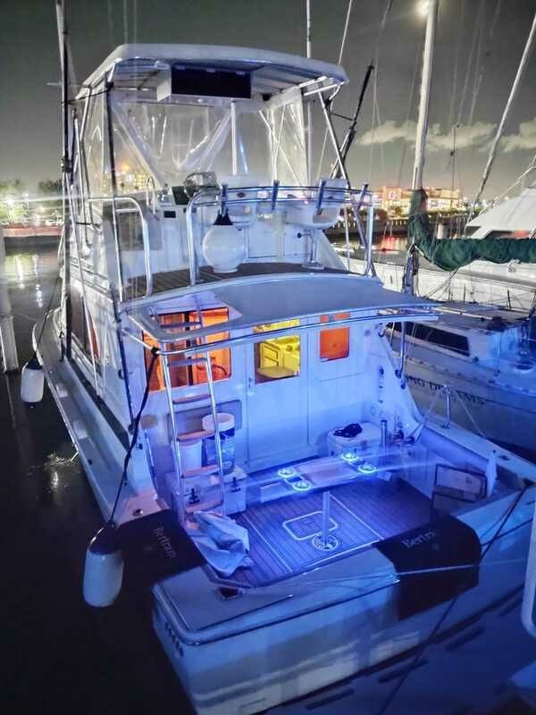 Bertram 33 | Arenita