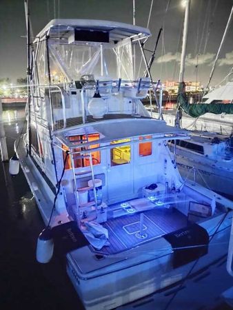 Bertram 33 | Arenita