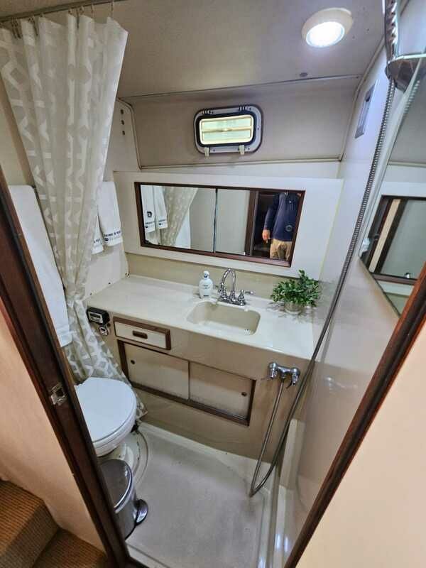 Bertram 33 | Arenita