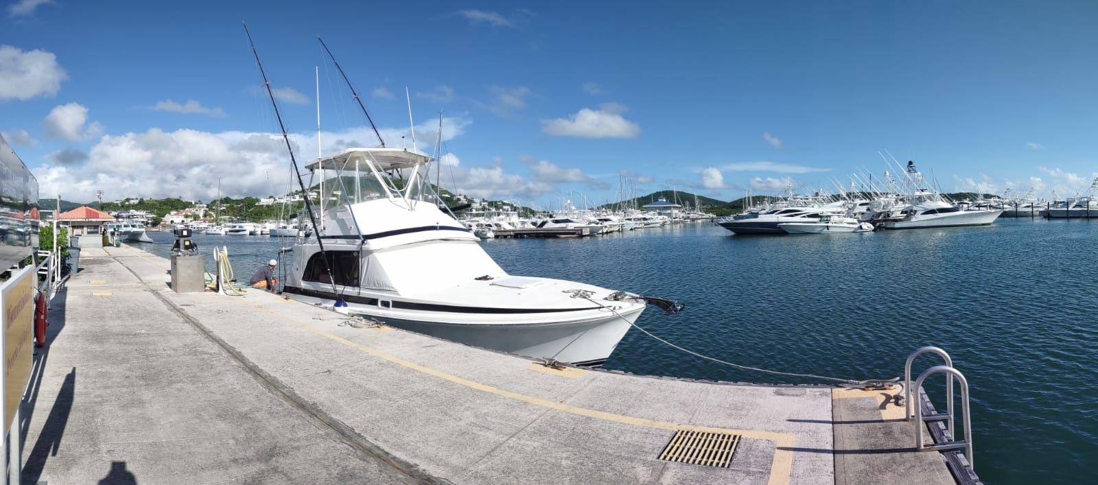 Bertram 33 | Arenita