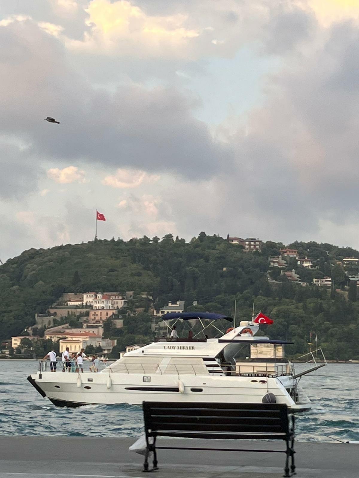 Custom Built 59 | Lady Mirmir