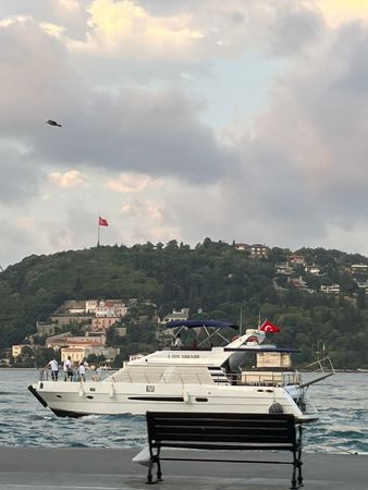 Custom Built 59 | Lady Mirmir