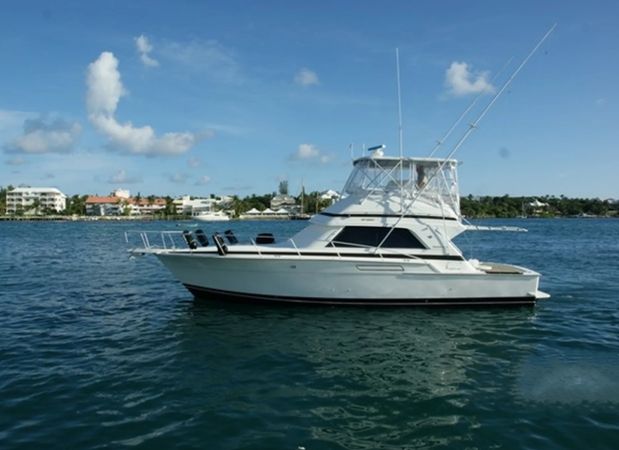 Bertram 43 | Strike Again