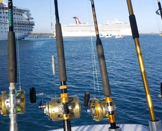 Bertram 43 | Strike Again