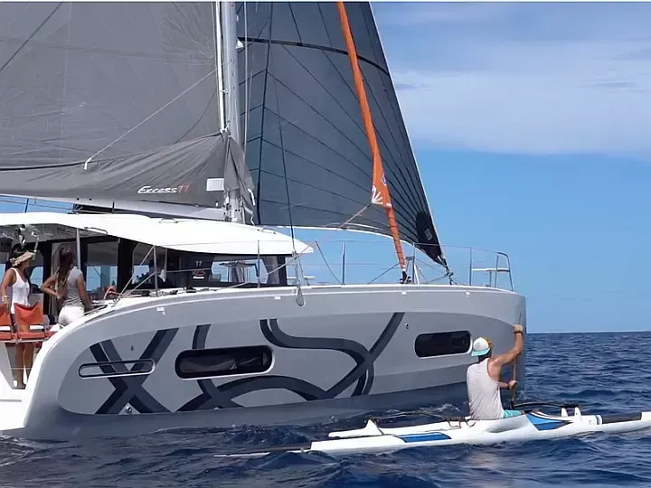 Excess 11 | Albatross