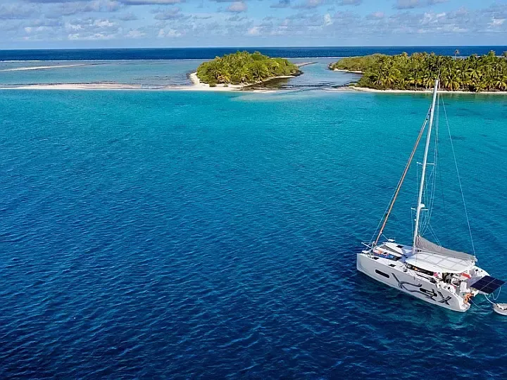 Excess 11 | Albatross