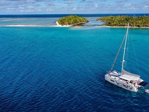 Excess 11 | Albatross