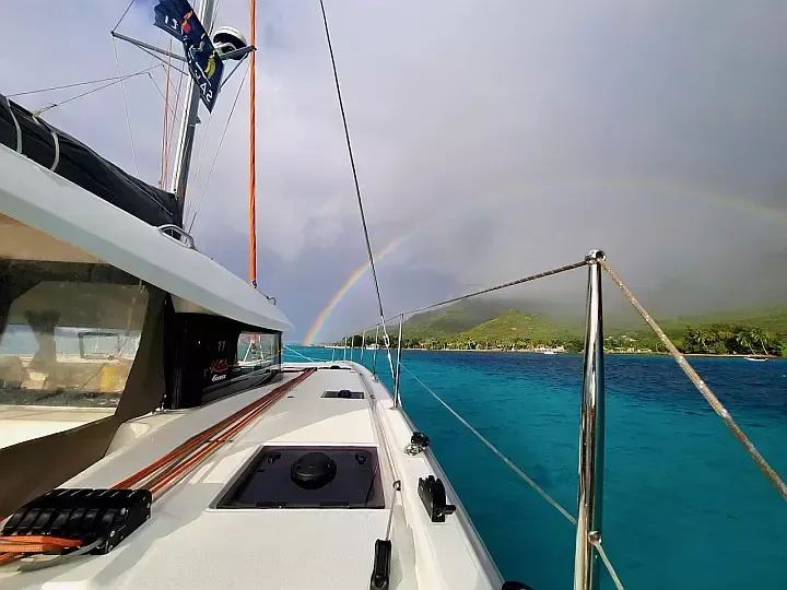 Excess 11 | Albatross