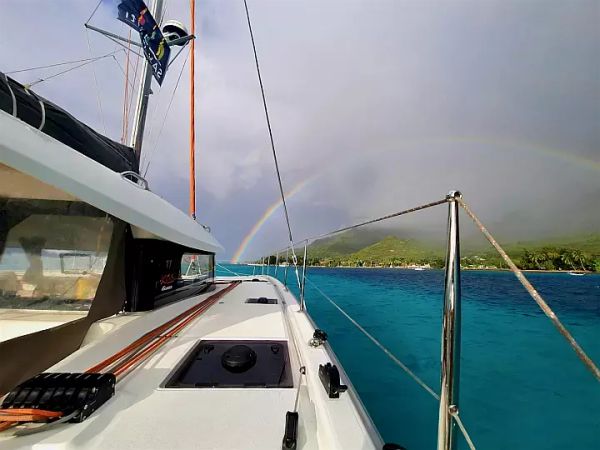 Excess 11 | Albatross