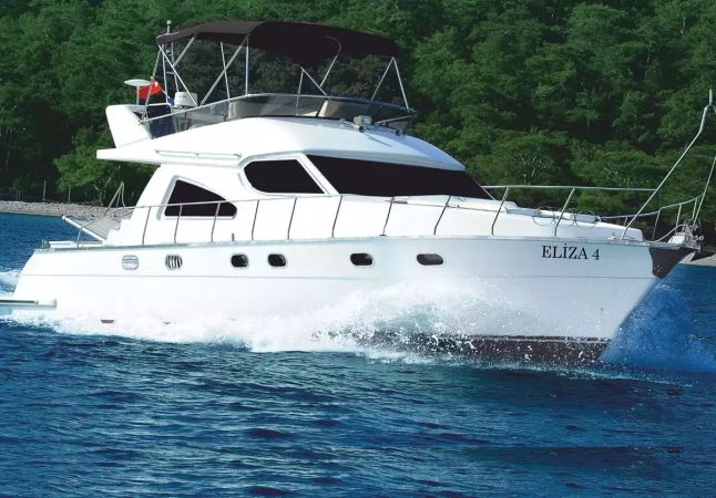 Custom Built 49 | Eliza 4