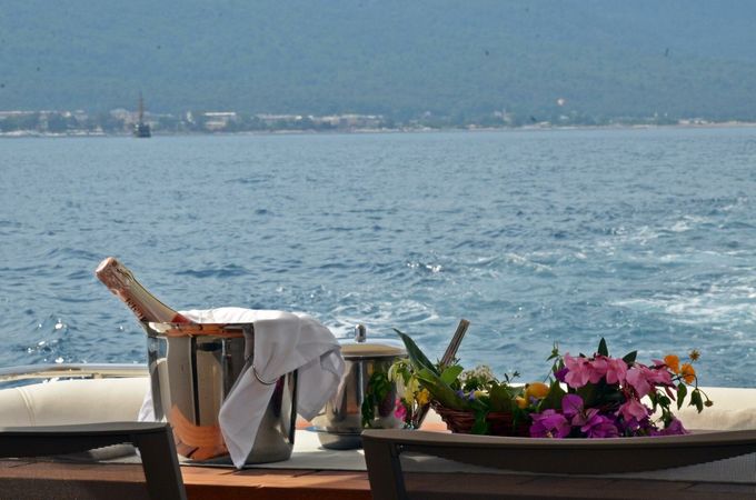 Princess 500 | Chayka