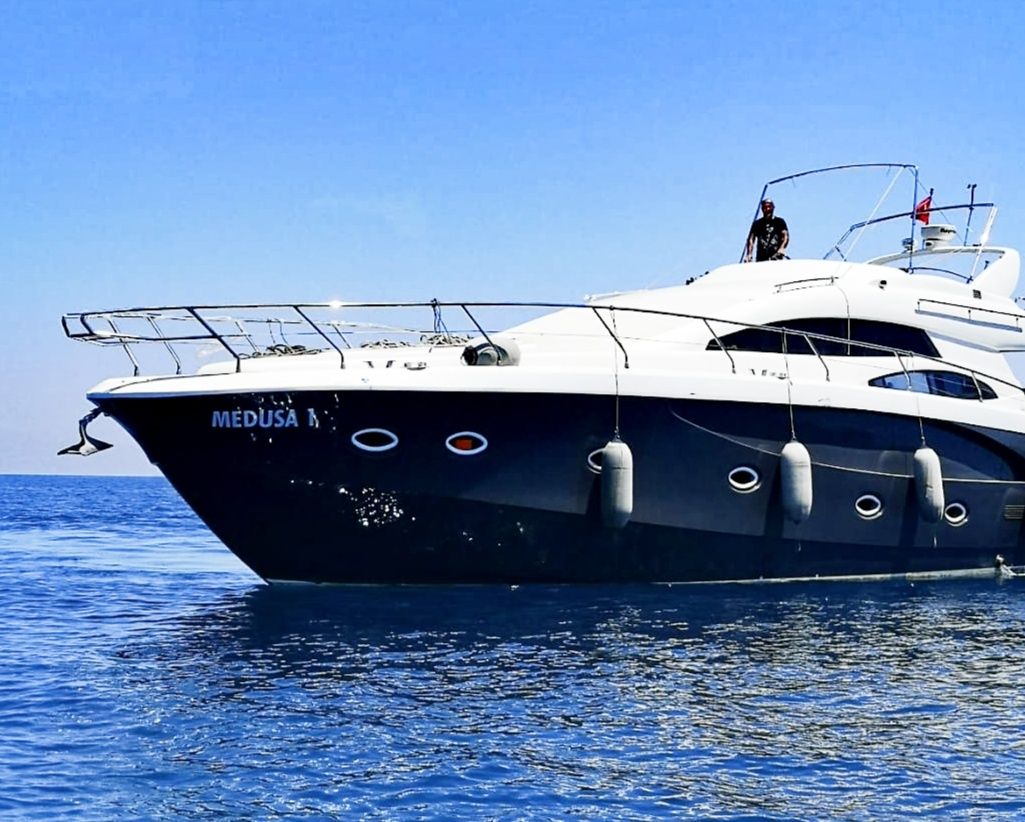 Custom Built 59 | Medusa 1