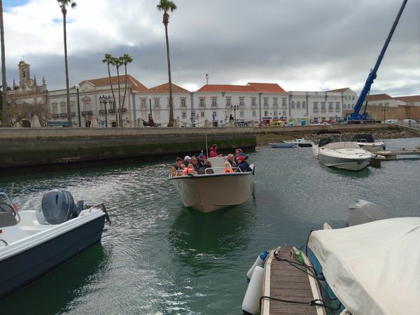 Pearl Boats Sea Master 730 Beach Tour | Mare Vita