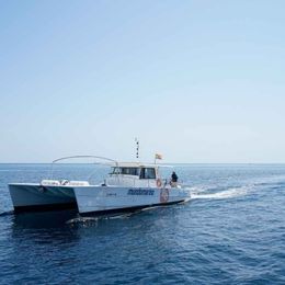 Custom Built 47 | Mascalzone