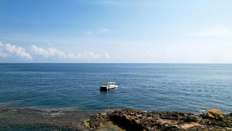 Custom Built 47 | Mascalzone