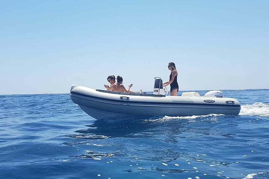 Predator 490 | Llané