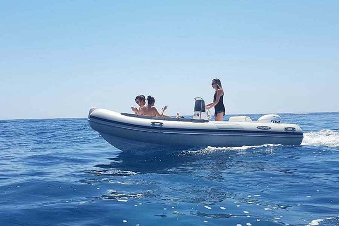 Predator 490 | Llané