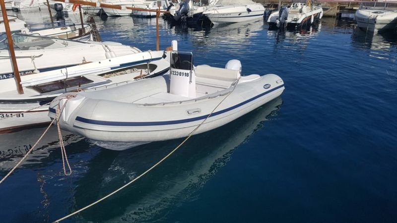 Predator 490 | Pelut