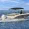 Sea Ray SPX 210 | 22