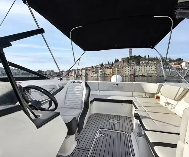 Sea Ray SPX 210 | 22