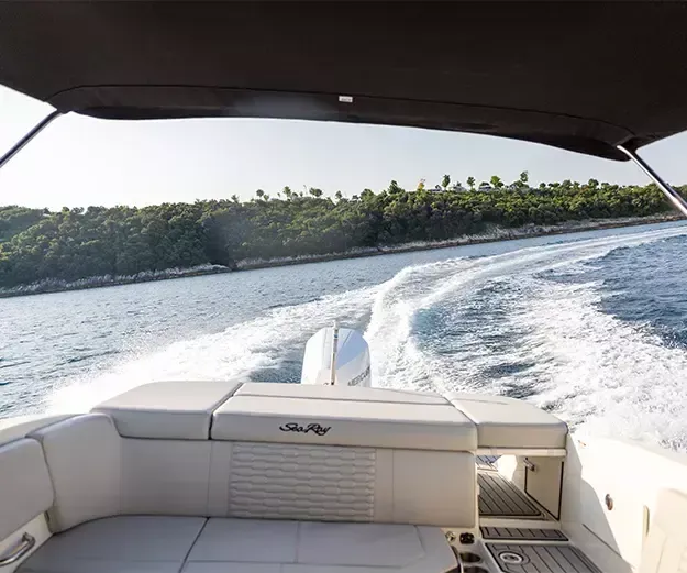 Sea Ray SPX 230 | 22