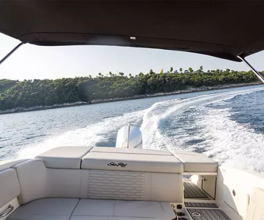 Sea Ray SPX 230 | 22