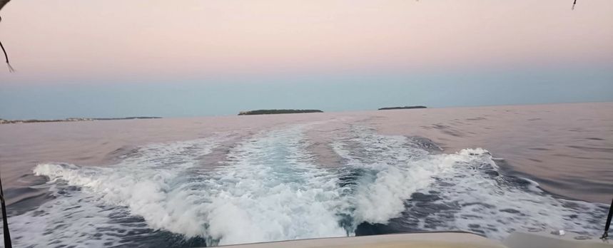 Four Winns 285 | Day Dream