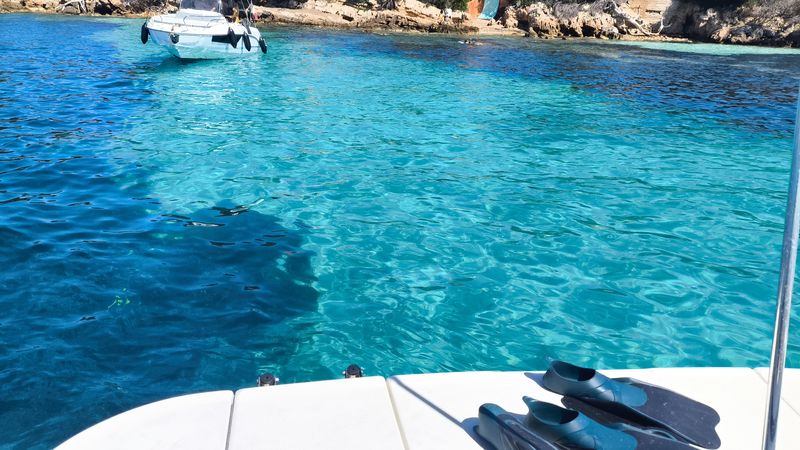 Four Winns 285 | Day Dream