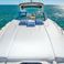 Sea Ray 370 | Ikigai