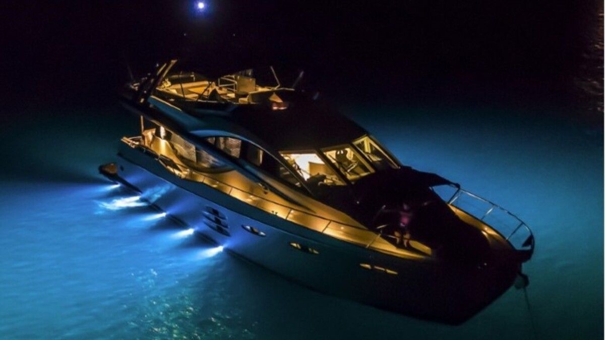 Numarine 78 | Amonnite