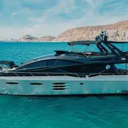 Numarine 78 | Amonnite