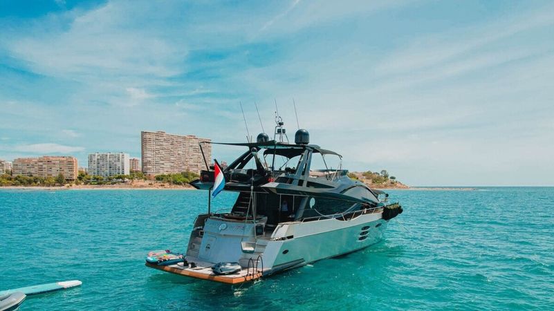 Numarine 78 | Amonnite