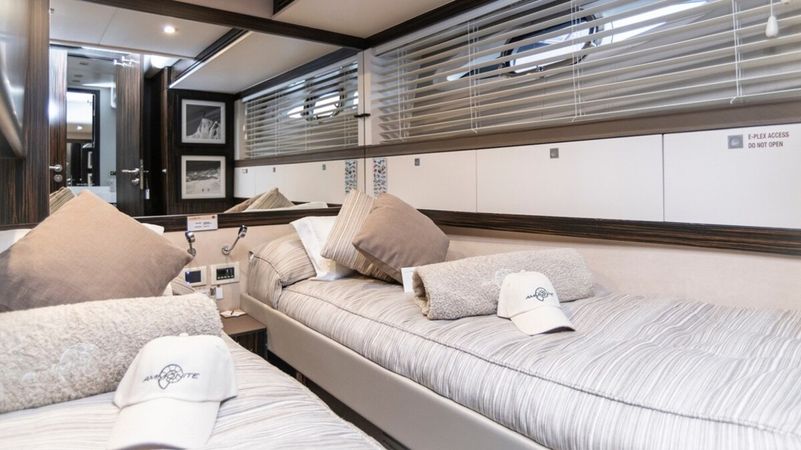 Numarine 78 | Amonnite