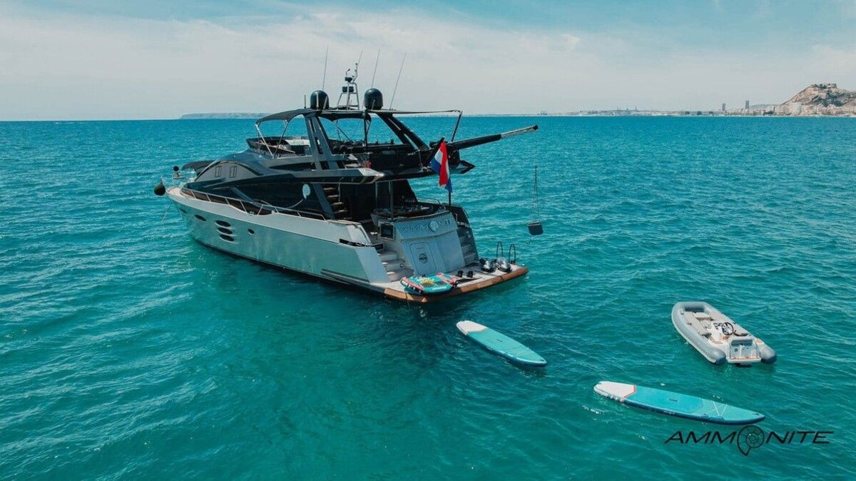 Numarine 78 | Amonnite