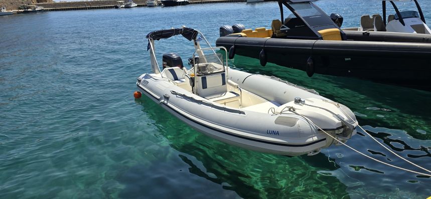 Mostro 600 Family | Luna