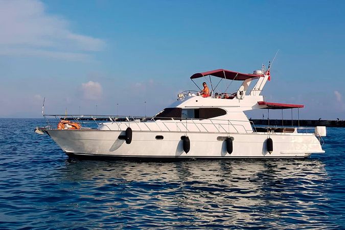 Custom Built 56 | Gorgona