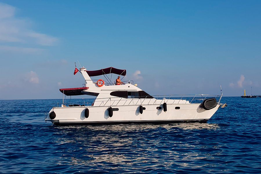 Custom Built 56 | Gorgona