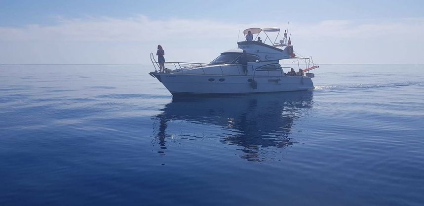 Custom Built 43 | My Dream