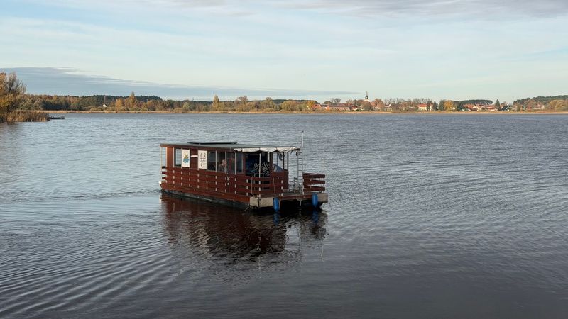 Tom Sawyer TS1000 | Bolle 08