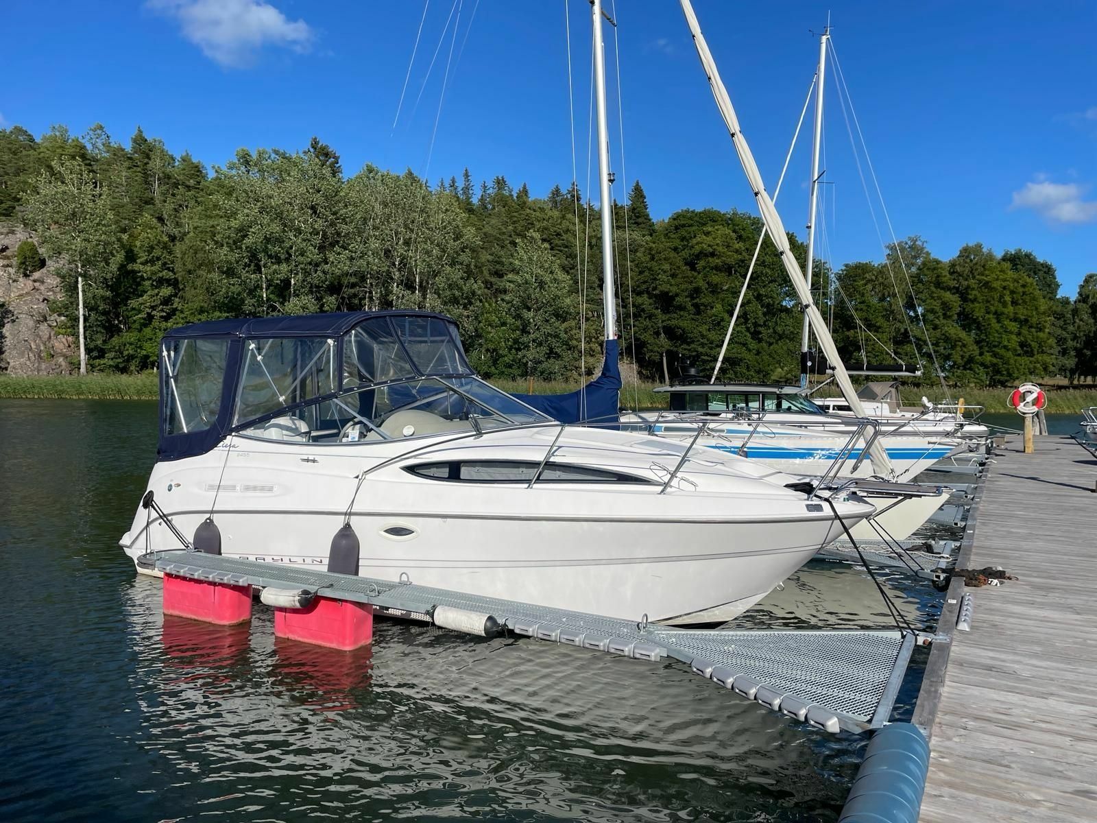 Bayliner 2455 | Karolina