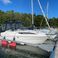 Bayliner 2455 | Karolina