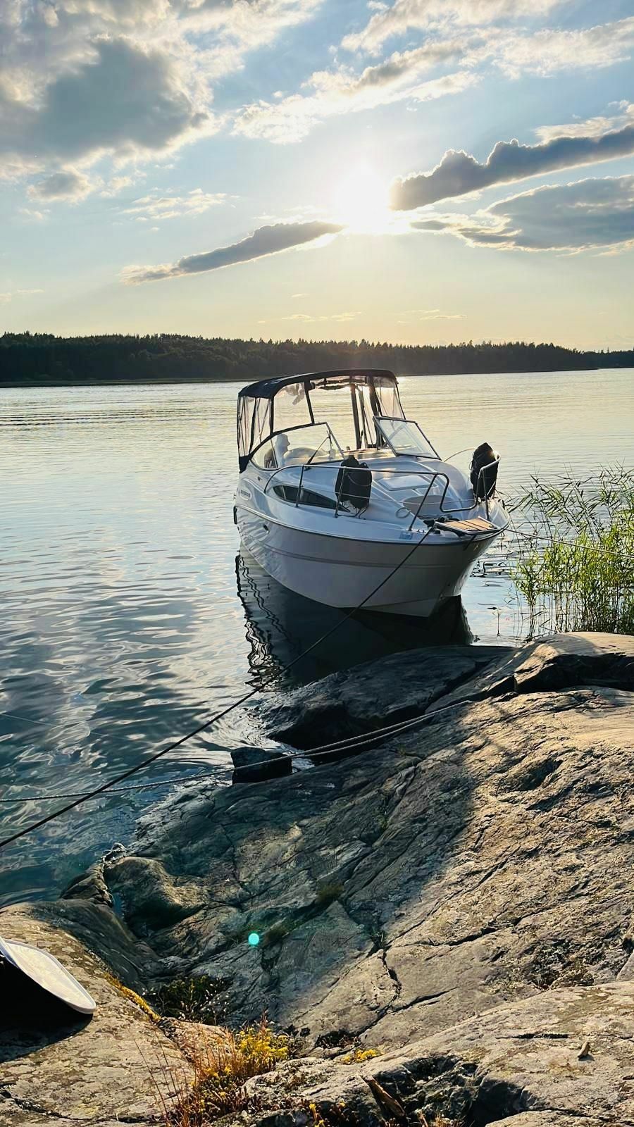 Bayliner 2455 | Karolina