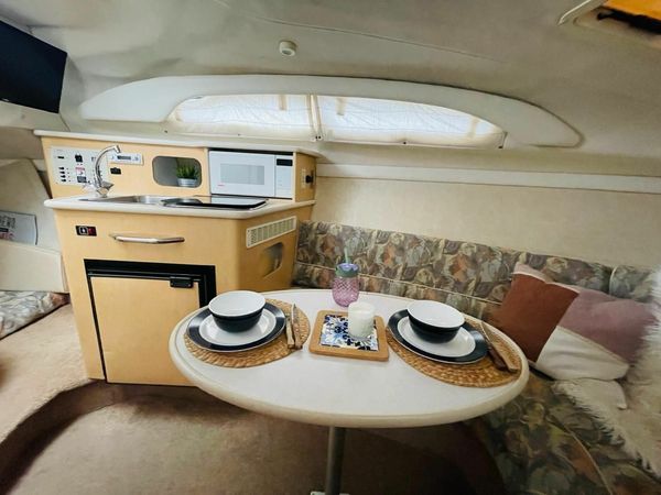 Bayliner 2455 | Karolina