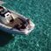 Joker Clubman 28 | Tina