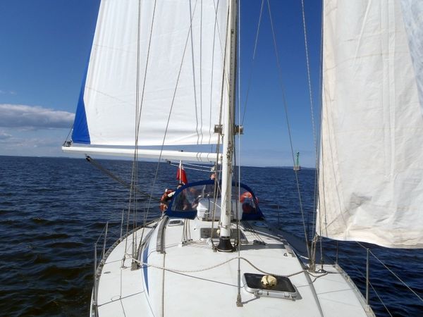 Comet 420 | Koalicja